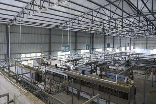 梁平首家自动化家禽屠宰厂正式投用，助推产业升级