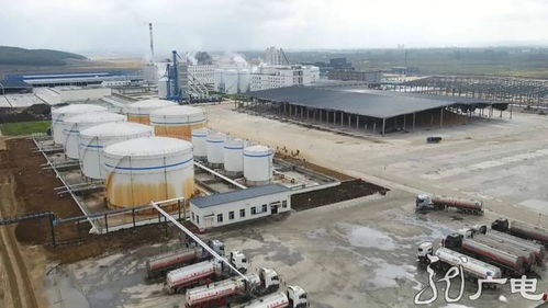 订单里的黄金周 农产品深加工企业开足马力赶订单