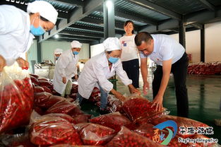 以主题教育为动力，夺取脱贫攻坚全面胜利——家禽深加工的产业实践与战略思考