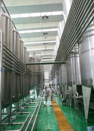 家禽深加工 创新带来繁荣，开放彰显活力