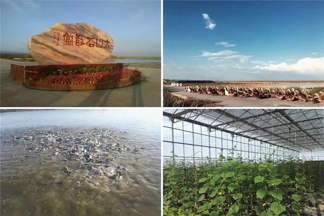 冬游九原，乐享节庆——四大活动、三条线路，畅玩不止！