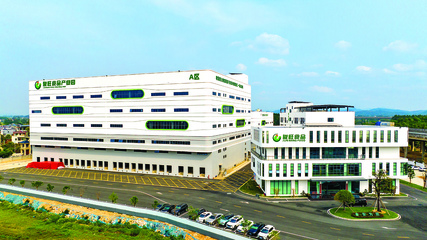 骏旺食品为石坝三黄胡须鸡产业带来发展新“鸡”遇 家禽深加工引领产业升级